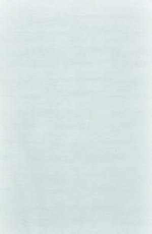 ACCURA 25X40 CARINA GREY